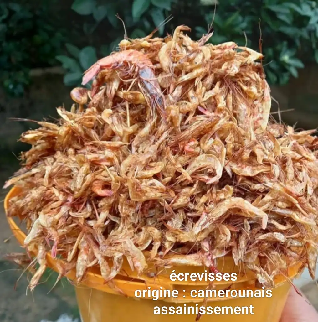 Écrevisse