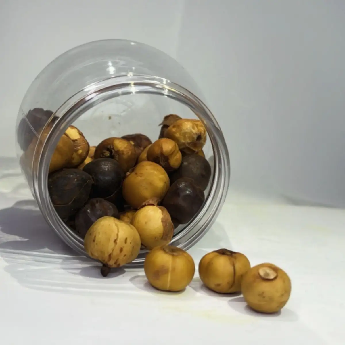 Épice rondelle du Cameroun