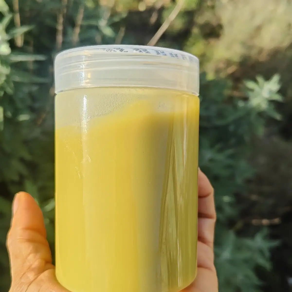 Beurre au chébé & romarin